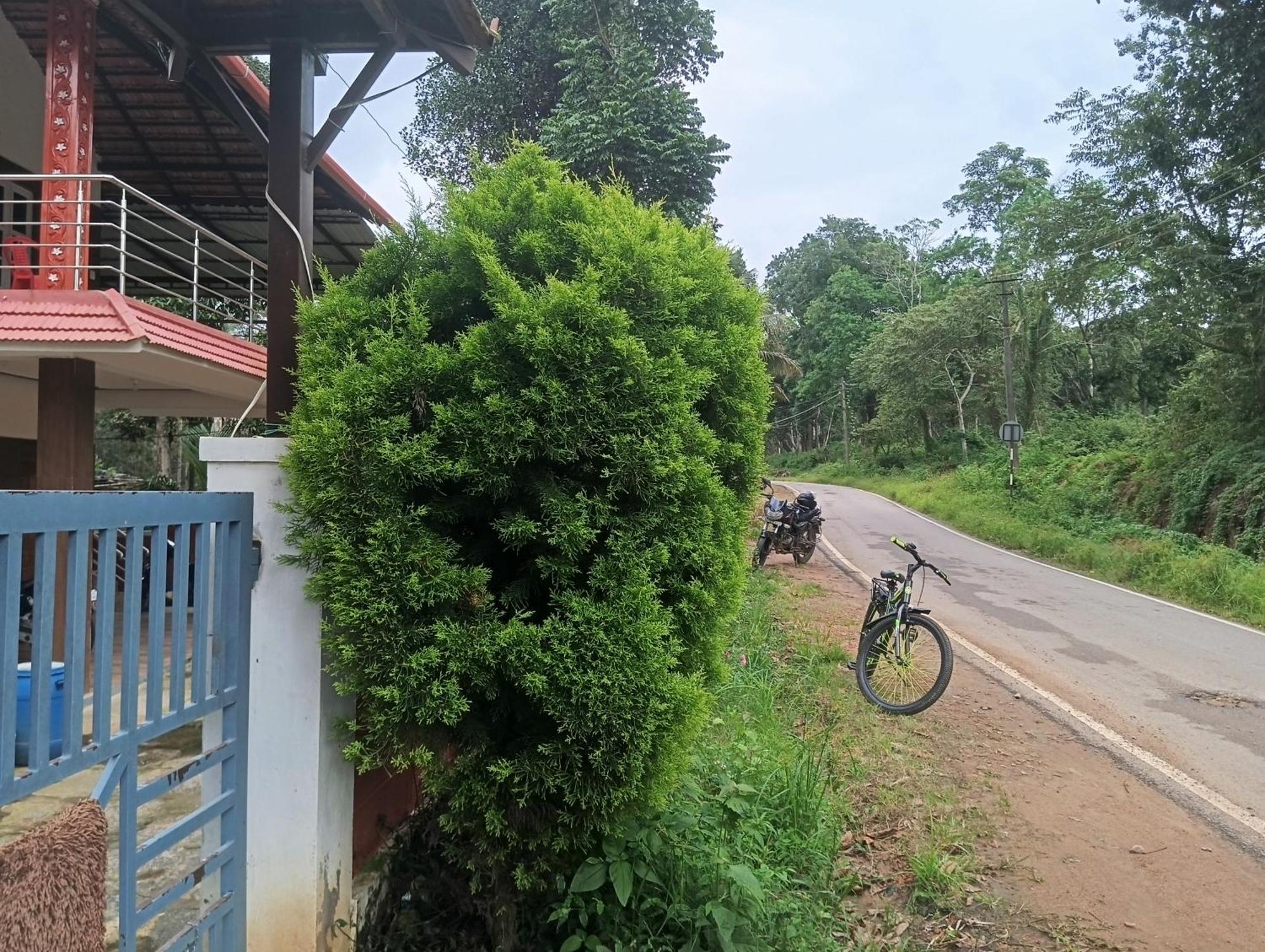 Elephant Path Coorg 3Bhk Villa Suntikoppa Buitenkant foto